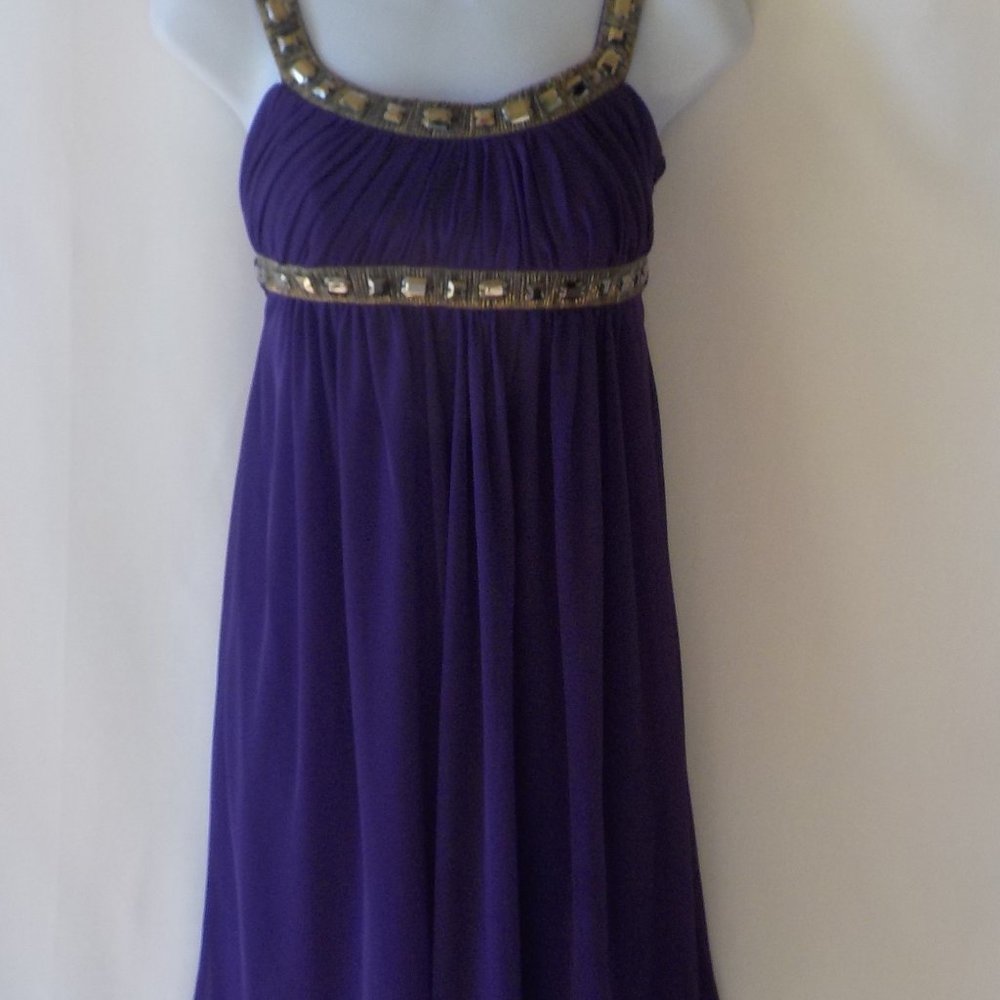 Purple Sleeveless Embellished Party Dress